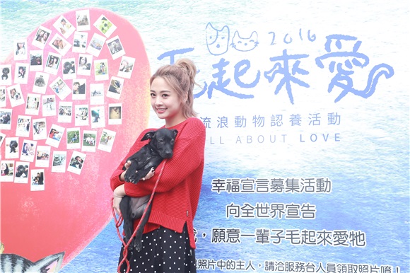 鬼鬼吴映洁出席流浪动物认养活动