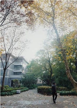 图片说明