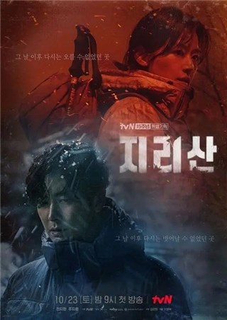 韩剧《智异山》全员演技炸裂  全智贤跨越阴阳阻碍重逢朱智勋