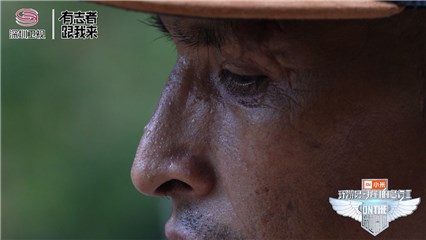 艾尔米诺额角上横