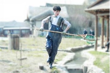(图片来源网路)