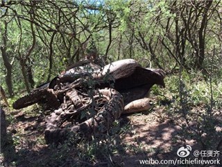 图片说明