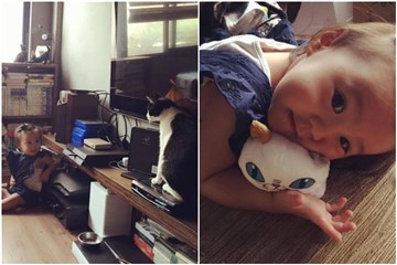 咘咘爱猫成痴 变身咖通人物