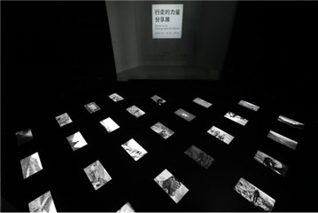 感知·多媒体影像区
