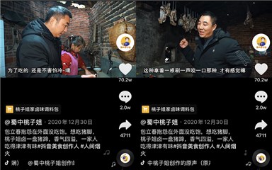 蜀中桃子姐抖音获赞1.7亿,网友:这才是热气腾腾的人生啊