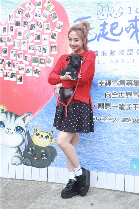 鬼鬼吴映洁出席流浪动物认养活动