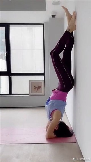 张柏芝甩怀孕传闻！挑战倒立秀“平坦小腹”