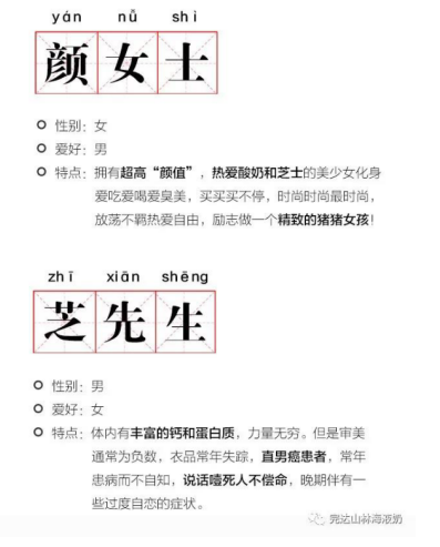【盐芝BIG爆】新型CP配对指南，了解一下