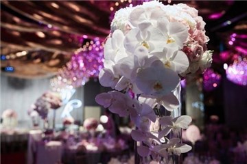 (图/翻摄自林心如工作室)