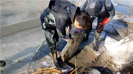 图片说明