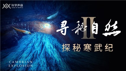 先睹为快，中文原创科学纪录片《寻秘自然2》