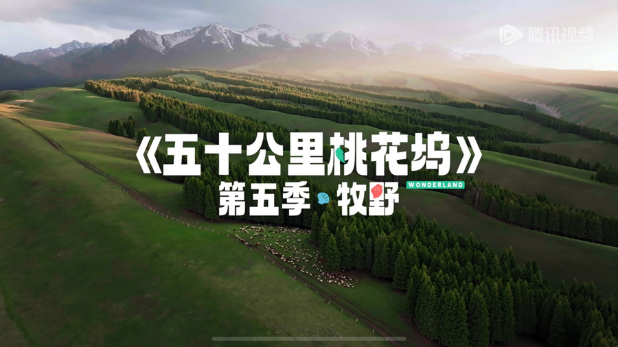 《五十公里桃花坞5》超前剧透篇上线 宁静、汪峰挑战陌生人社交实验
