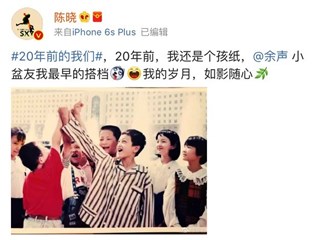 陈晓微博截图