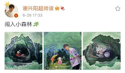闯入小森林！谢兴阳晒周末看展照 阳光不失帅气