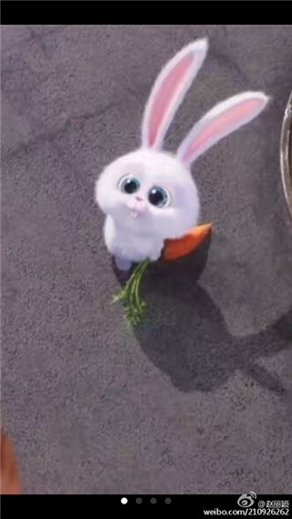 图片说明