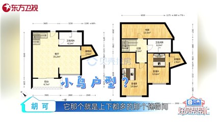 “房先生队”寻找的不规则户型引发争议
