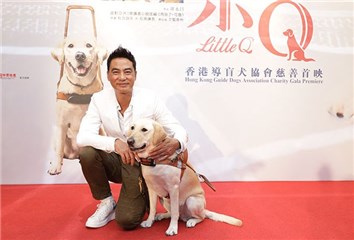 暖心疗愈系电影《再见了!小Q》口碑沸腾 香港票房异军突起