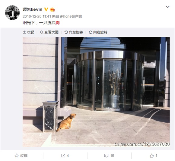 铁汉男星拍戏遇流浪动物 霸气收养回家负责到底