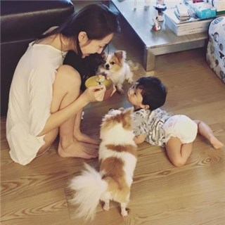 图片说明