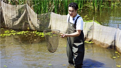 小沈阳在莲花湿地捞鱼