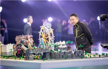 刘国梁观察乐高积木