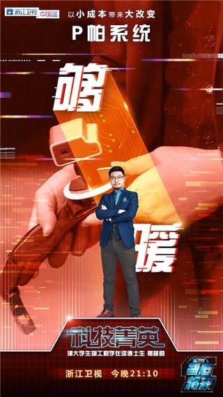 P帕系统