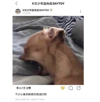 被《蜘蛛人》剧透的肖战发奔溃狗狗表情包  网友同感留言