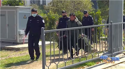 非法捕鱼案带走教育