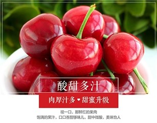 品味“果中珍品”烟台大樱桃 PP视频《寻味中国》第十期即将上线