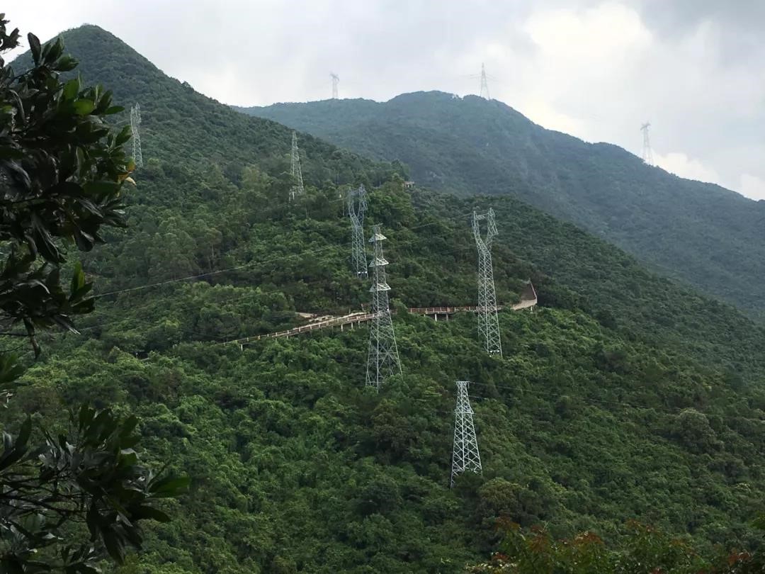旅游困境中的观音山国家森林公园如何涅盘重生？