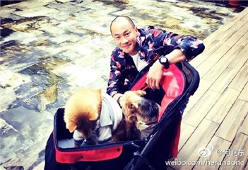 图片说明