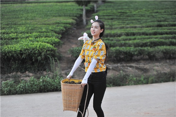 Angelababy变身铲屎官 搭档郑恺捡马粪
