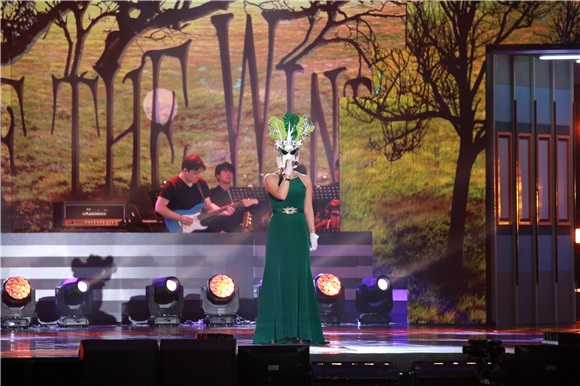 2016 DMC FESTIVAL《假面歌王》举行舞台 李在恩、Dana、金九拉、KCM等出席