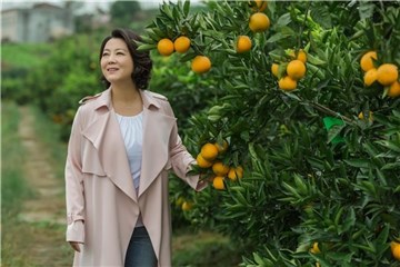 《月是故乡明》登陆央八共赏最美故乡情