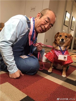 日本喜剧王志村健确诊新冠    一度呈重症状态需插管治疗