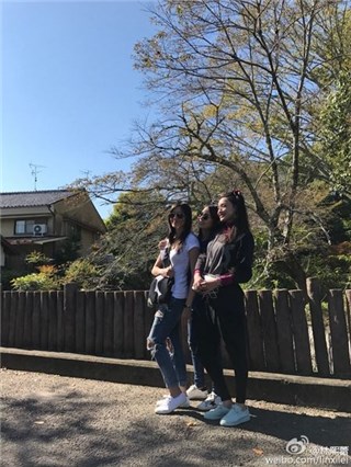 林熙蕾舒淇林心如出游似领家妹妹 网友大赞亲切