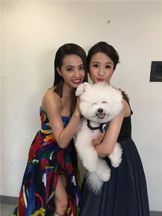 图片说明