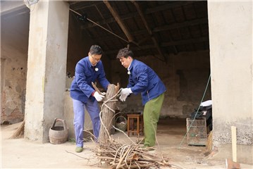 黄磊、王迅收拾柴火准备生火做饭