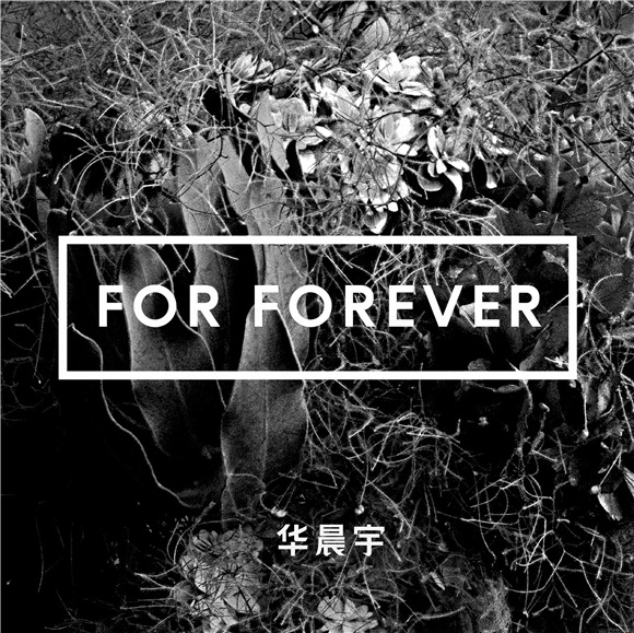 华晨宇首秀英文歌《For Forever》 主题为演唱会而作