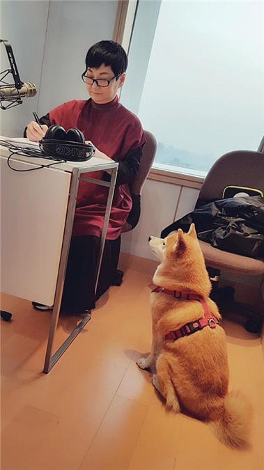 (康)惊恐未来母亲居无定所 张小燕忍痛出售丰华唱片
