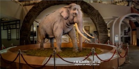 图片说明