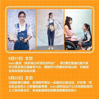 (angelababy热心公益 图/泰洋川禾文化提供)