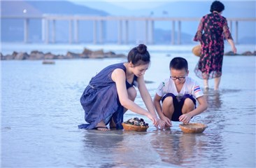 柳岩海边捡贝壳