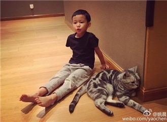 图片说明