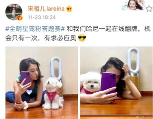 宋祖儿携萌宠线上翻牌 与粉丝有趣互动欢乐满满
