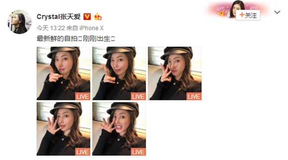 张天爱晒帅气五连拍 网友:被你撩到了
