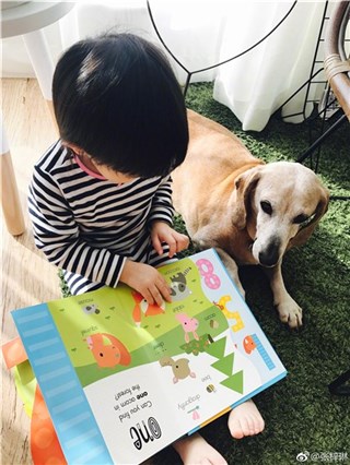 张梓琳晒女儿萌照 胖妹与爱犬相伴看书静谧美好