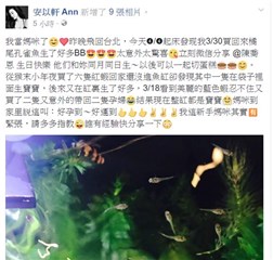 (安以轩发文说自己当新手妈妈了 图/翻摄自安以轩微博)