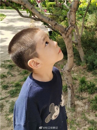 嗯哼被妈妈逼着理发  寸头帅到一塌糊涂