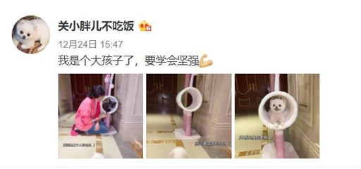 关晓彤微博小号发文：所以爱会消失对吗？引网友猜测是意有所指？